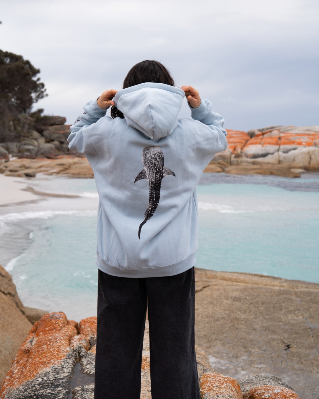 Whale Shark Hoodie | Sea Mist Blue