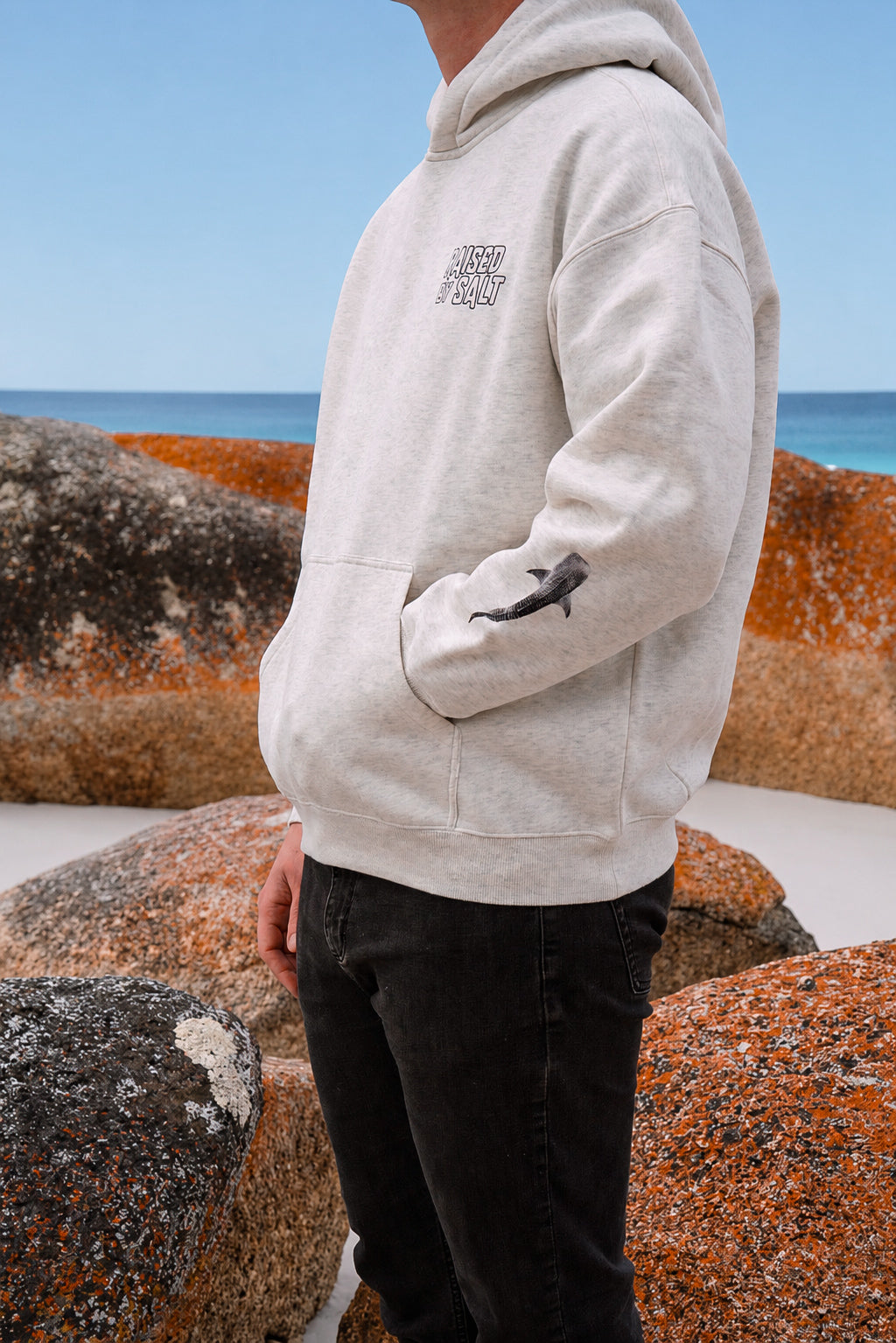 Whale Shark Hoodie | Shell
