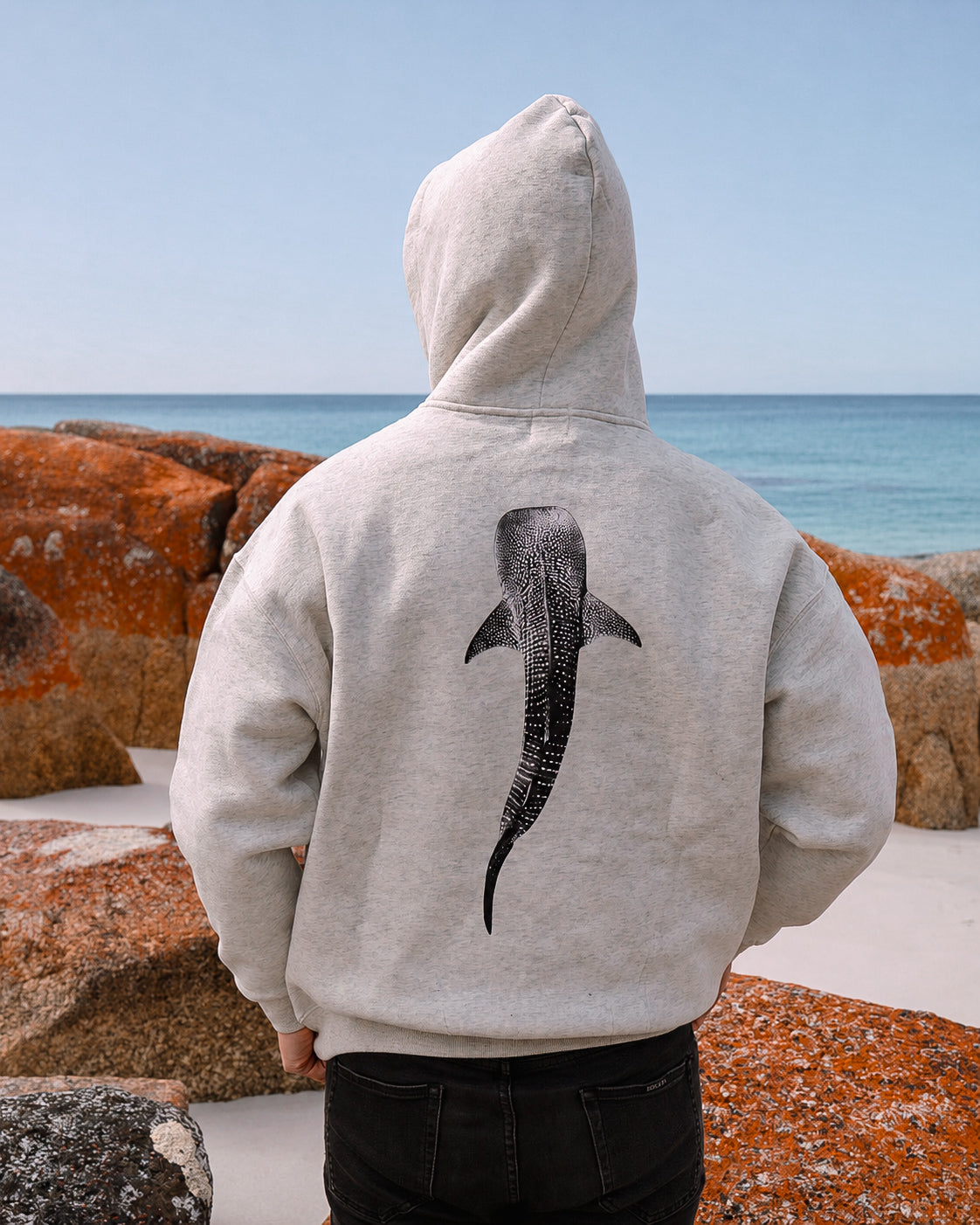 Whale Shark Hoodie | Shell