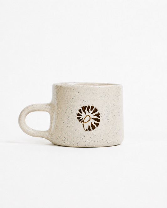 Nautilus Shell | PRE-ORDER