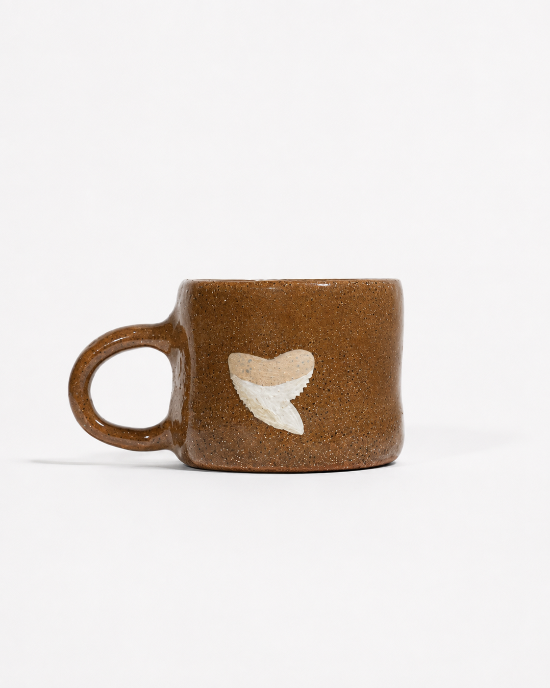 Shark Tooth | Pre-Order